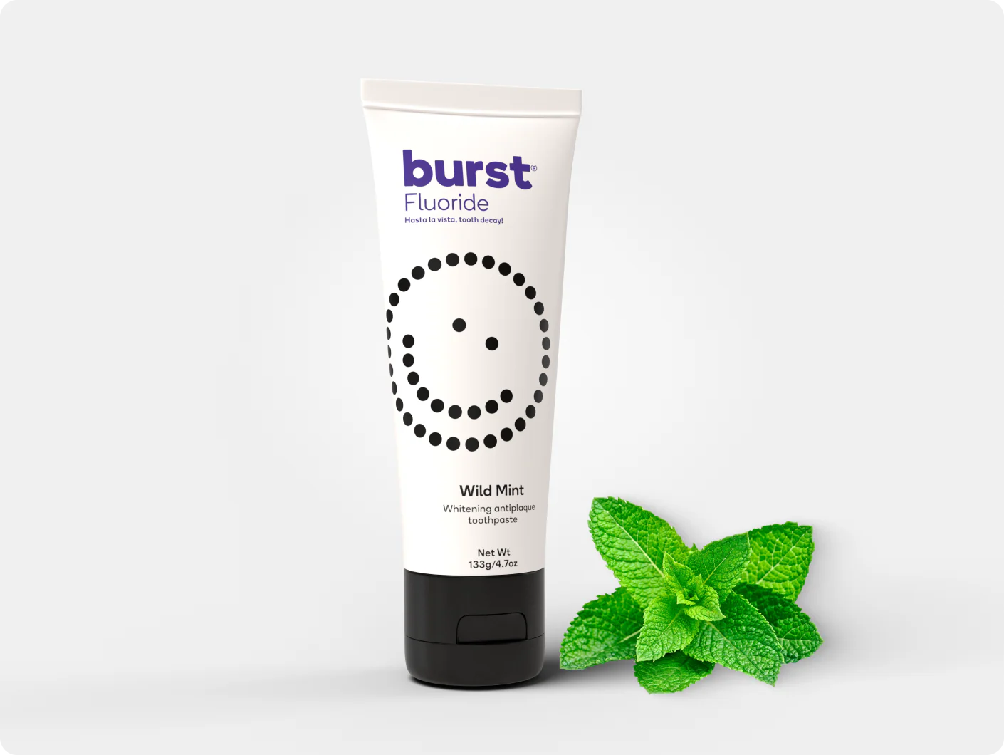 Wild Mint Toothpaste Refill
